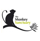 title='Monkey