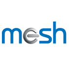 title='Mesh