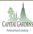 title='Capital