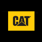 title='Cat
